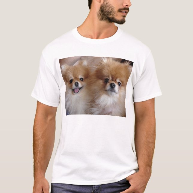 Camiseta Amigos de Pomeranian (Frente)