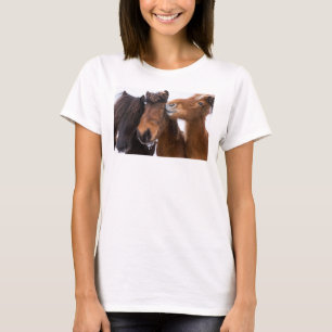 Camiseta Amigos do cavalo islandês, Islândia