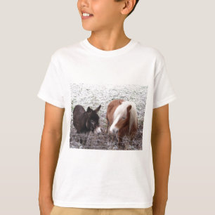 Camiseta Amigos gelados