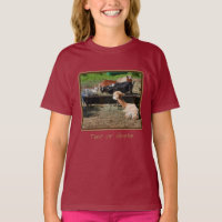 Amigos Personalizados do Barnyard de Animais de fa