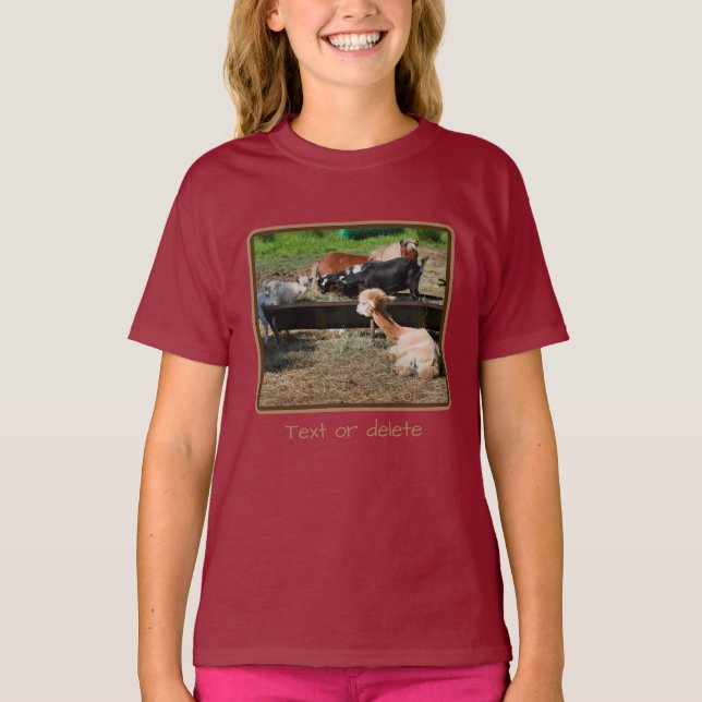 Camiseta Amigos Personalizados do Barnyard de Animais de fa (Frente)