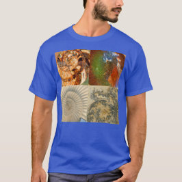 Camiseta Ammonite Fossil Macro Montage