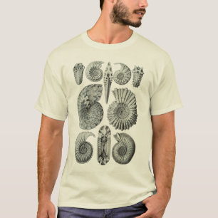 Camiseta Amonites
