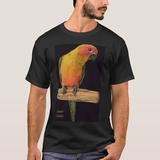 Camiseta amor bird_black/bgrnd (Frente)