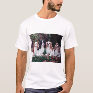 Camiseta amor descuidado