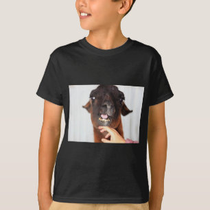 Camiseta Amor do lama