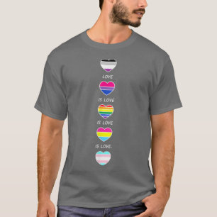Camiseta Amor Orgulho LGBT Aseual Bi Panseual Trans
