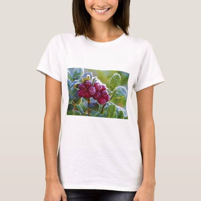 Camiseta Amoras-de-fosco (Frente)