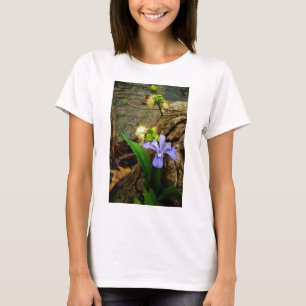 Camiseta Anã-Caverna-Iris, flor branca púrpura azul-púrpura