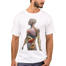 Anatomia Artística: Revelando o Itrato do Corpo