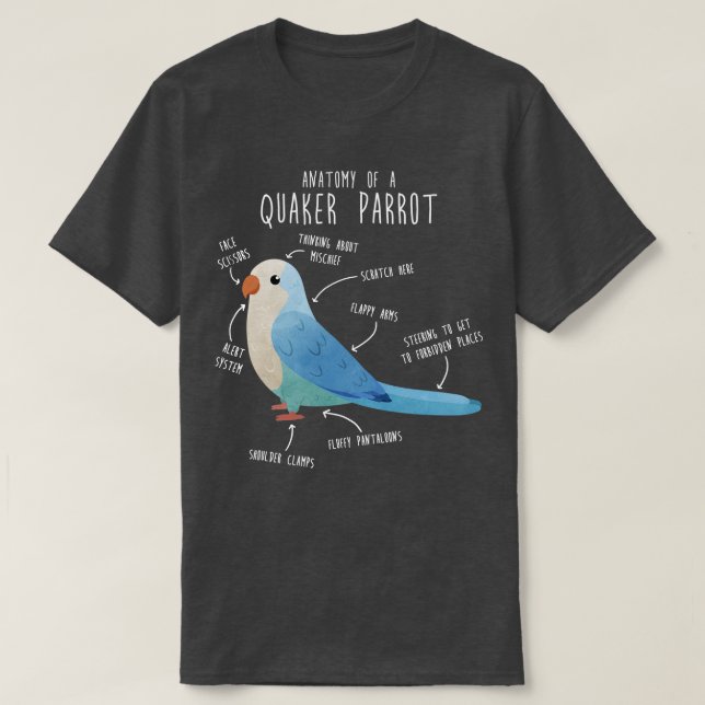 Camiseta Anatomia azul do quaker (Frente do Design)