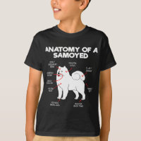 Anatomia Cão Samoyed Cão Cachorro Cachorro Cachorr