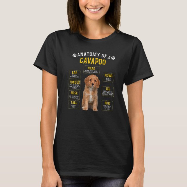 Camiseta Anatomia Cavapoo Para Homens (Frente)