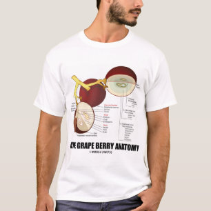 Camiseta Anatomia da baga da uva para vinho (fruta)