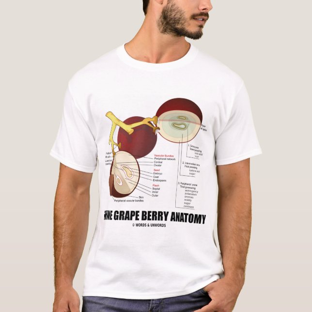 Camiseta Anatomia da baga da uva para vinho (fruta) (Frente)