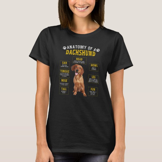 Camiseta Anatomia Dachshund Para Homens (Frente)