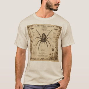 Camiseta Anatomia de Aranha Vintage