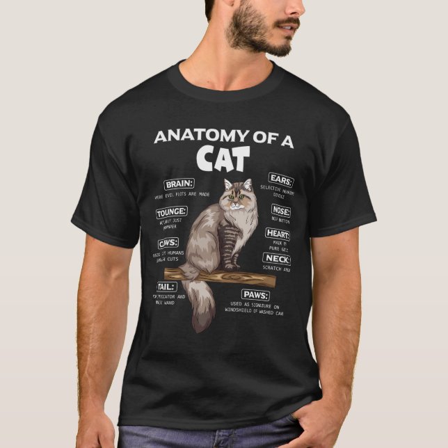 Camiseta Anatomia De Gato Gato Gato Gato Gato Gato Gatinhos (Frente)