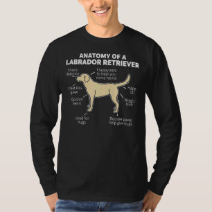 Camiseta Anatomia De Labrador Retriever 163