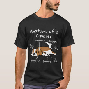 Camiseta Anatomia de um cão cavaleiro do rei Charles Spanie