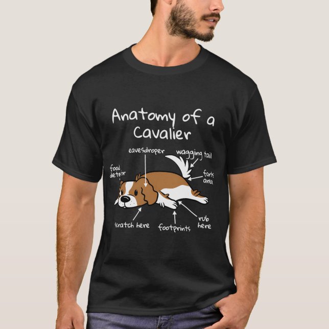 Camiseta Anatomia de um cão cavaleiro do rei Charles Spanie (Frente)