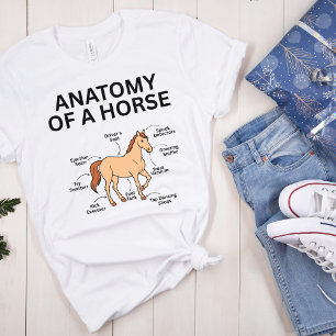 Camiseta Anatomia de um Cavalo, Presentes Divertidos para A