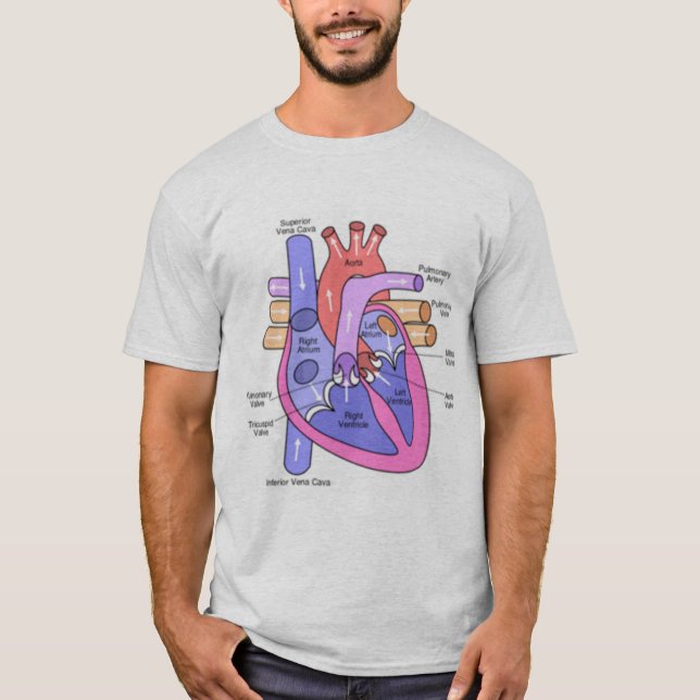 Camiseta Anatomia de um coração só (Frente)