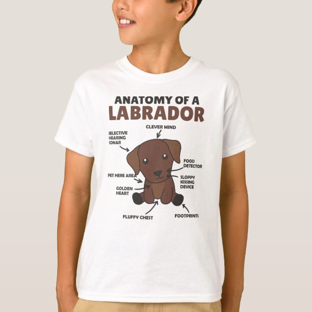 Camiseta Anatomia De Um Labrador Retriever Cães Doce (Frente)