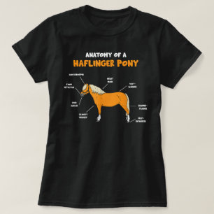Camiseta Anatomia de um Pônei Haflinger Cavalo Haflinger