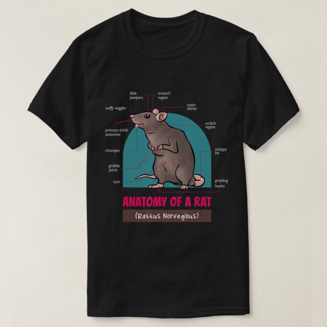 Camiseta Anatomia De Um Rato Rato Rato Norvegioso T-Shirt (Frente do Design)