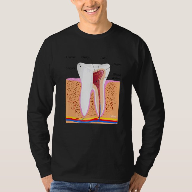 Camiseta Anatomia dentária Para Ging De Enamel Dente Normal (Frente)