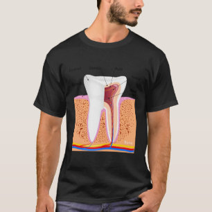 Camiseta Anatomia dentária Para Ging De Enamel Dente Normal