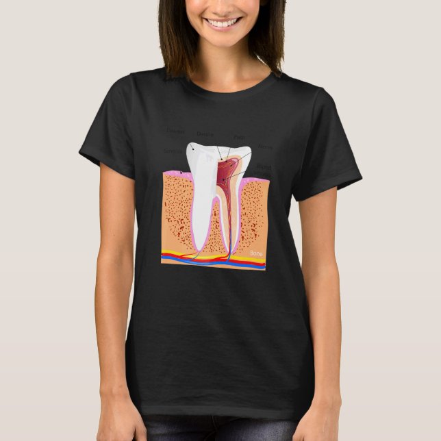 Camiseta Anatomia dentária Para Ging De Enamel Dente Normal (Frente)