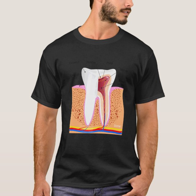 Camiseta Anatomia dentária Para Ging De Enamel Dente Normal (Frente)