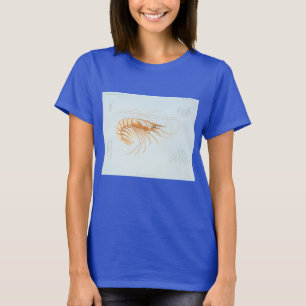 Camiseta Anatomia do Camarão Vintage, Animais do Oceano Ma