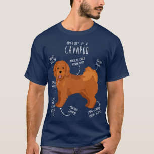 Camiseta Anatomia do Cão Cavapoo