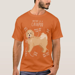 Camiseta Anatomia do Cão Cavapoo 6