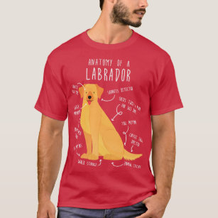 Camiseta Anatomia do cão do Labrador Amarelo