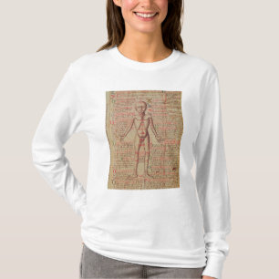Camiseta Anatomia do corpo humano