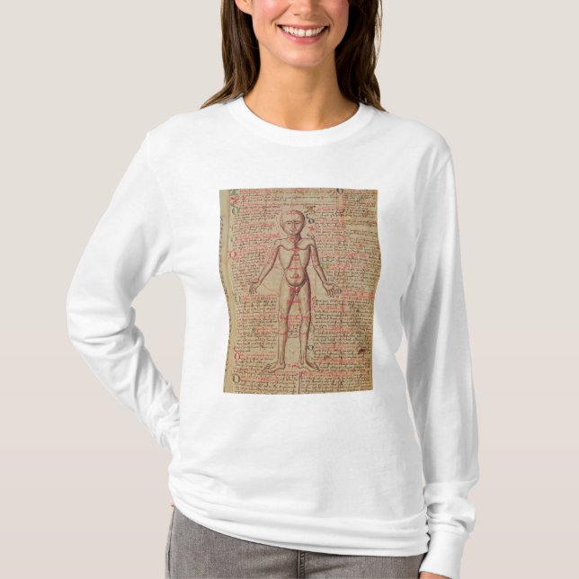 Camiseta Anatomia do corpo humano (Frente)