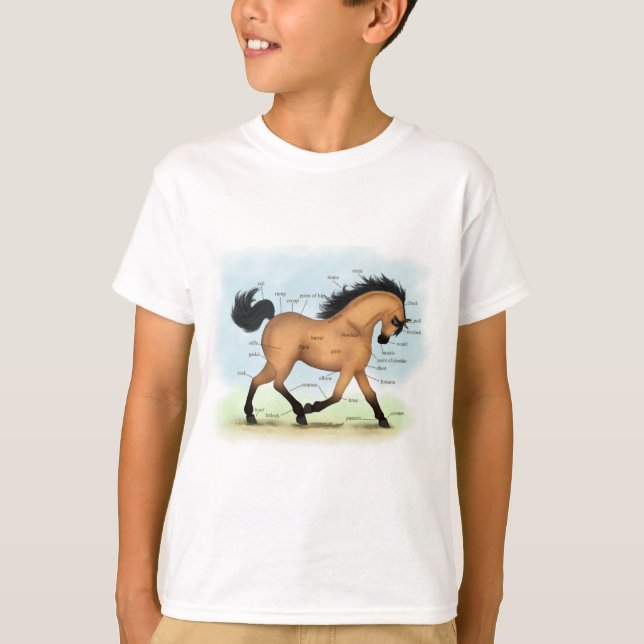 Camiseta Anatomia educativa equina com pele de bucha (Frente)