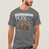 Anatomia Engraçada De Um Amante de os animais Fo,