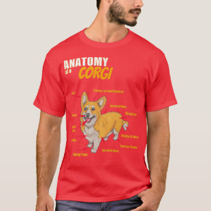 Camiseta Anatomia Engraçada De Um Vestuário De Cachorro Par