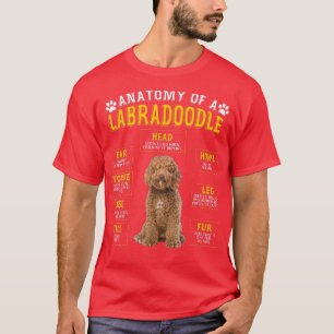 Camiseta Anatomia Engraçada Labradoodle Oferece Presentes P