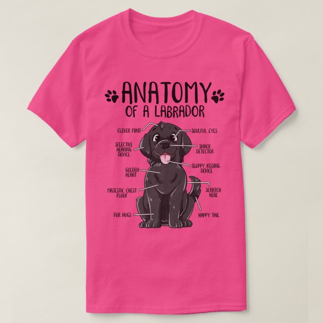 Camiseta Anatomia engraçada Labrador Retriever Black Lab Do (Frente do Design)