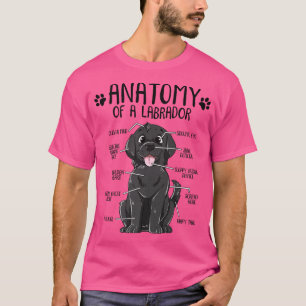 Camiseta Anatomia engraçada Labrador Retriever Black Lab Do