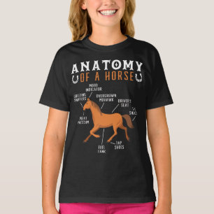 Camiseta Anatomia Equestre Anidistria De Um Sobrevoado De C