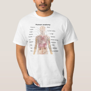Camiseta Anatomia humana