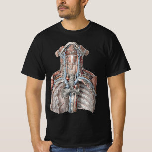 Camiseta Anatomia Humana Antiga Garganta, Pescoço, Peito, C
