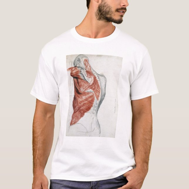 Camiseta Anatomia humana; Músculos do torso e do ombro (Frente)